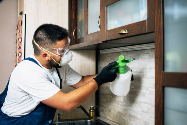 Best Pest Control Near Me in Garrison, MD