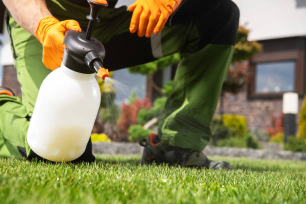 Best Bed Bug Extermination  in Garrison, MD