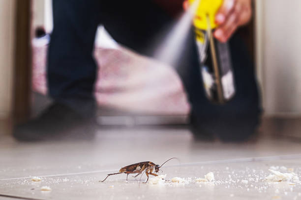 Best Best Pest Control Companies  in Garrison, MD