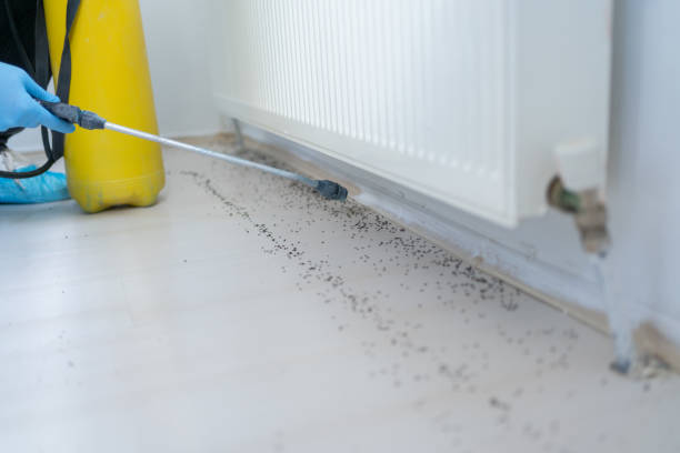Best Insect Control  in Garrison, MD
