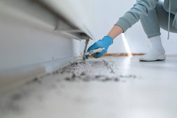 Best Termite Control Services  in Garrison, MD