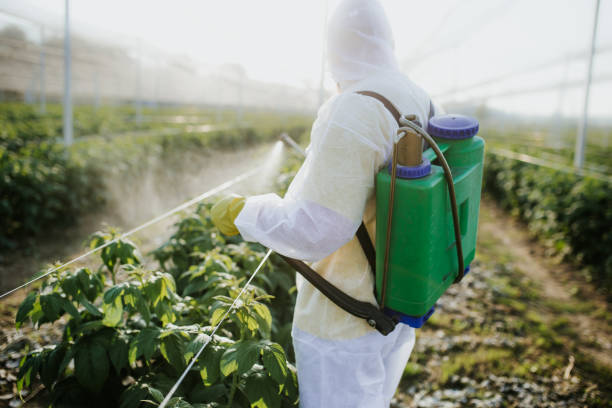Reliable Garrison, MD Pest Control Solutions